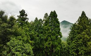 東近江市の永源寺の山奥