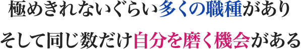 極めきれないぐらい多くの職種があり,そして同じ数だけ自分を磨く機会がある