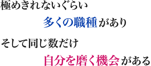 極めきれないぐらい多くの職種があり,そして同じ数だけ自分を磨く機会がある