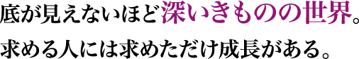 底が見えないほど深いきものの世界。求める人には求めただけ成長がある。