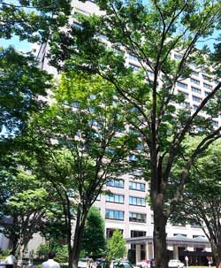 20130826_123315.jpg