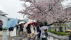 s160408_12.jpg