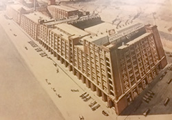 s170125_014.jpg
