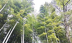 s170502_22.jpg