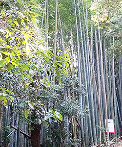 s170519_08.jpg